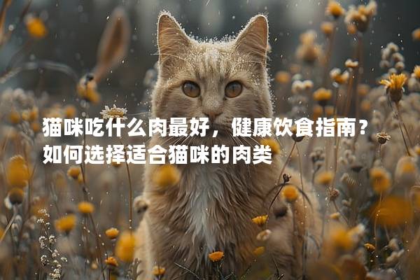 猫咪吃什么肉最好，健康饮食指南？如何选择适合猫咪的肉类