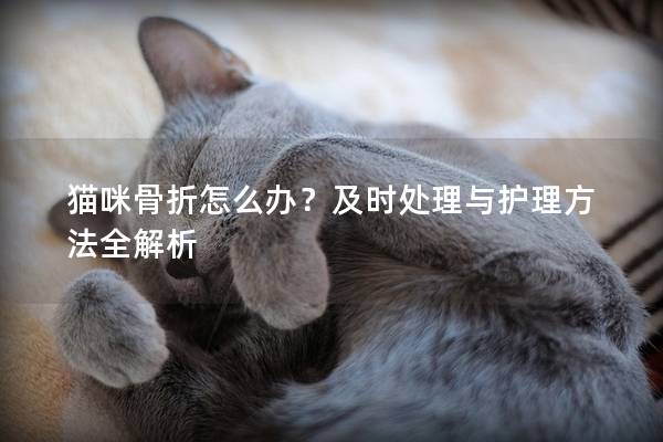 猫咪骨折怎么办？及时处理与护理方法全解析