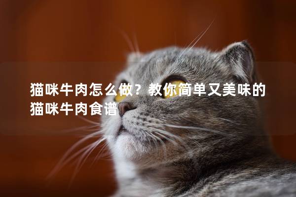 猫咪牛肉怎么做？教你简单又美味的猫咪牛肉食谱
