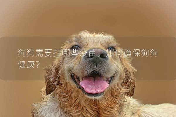 狗狗需要打哪些疫苗，如何确保狗狗健康？