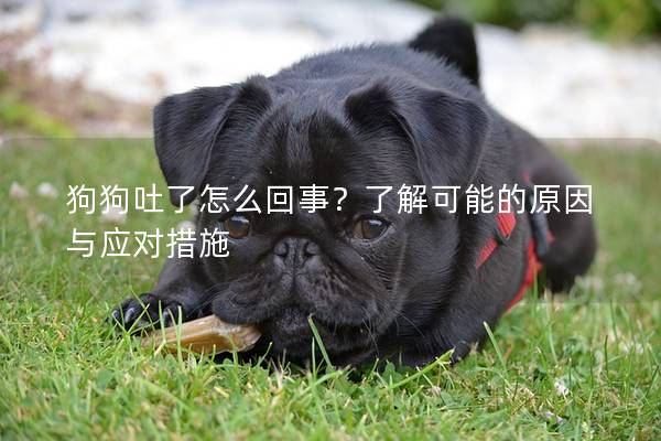 狗狗吐了怎么回事？了解可能的原因与应对措施