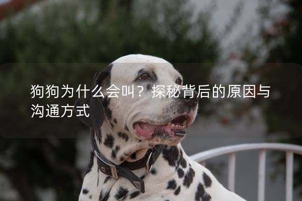 狗狗为什么会叫？探秘背后的原因与沟通方式