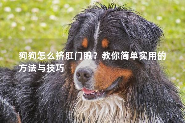 狗狗怎么挤肛门腺？教你简单实用的方法与技巧