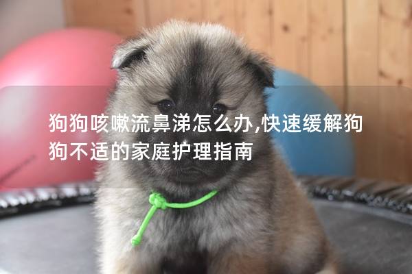 狗狗咳嗽流鼻涕怎么办,快速缓解狗狗不适的家庭护理指南