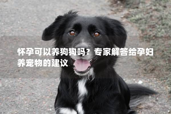 怀孕可以养狗狗吗？专家解答给孕妇养宠物的建议