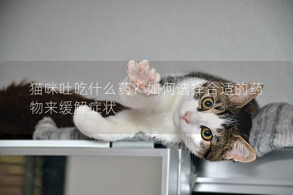 猫咪吐吃什么药？如何选择合适的药物来缓解症状