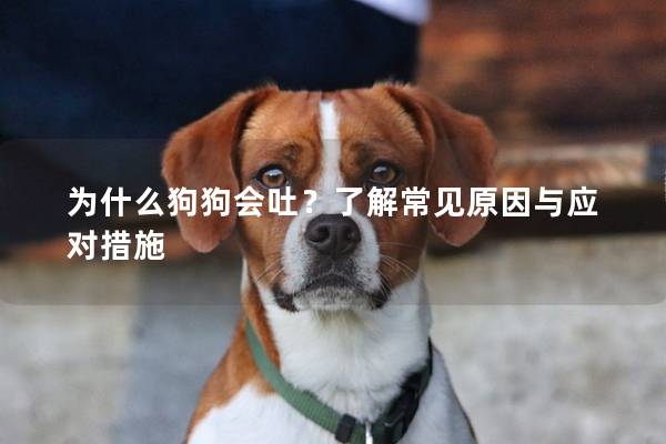 为什么狗狗会吐？了解常见原因与应对措施