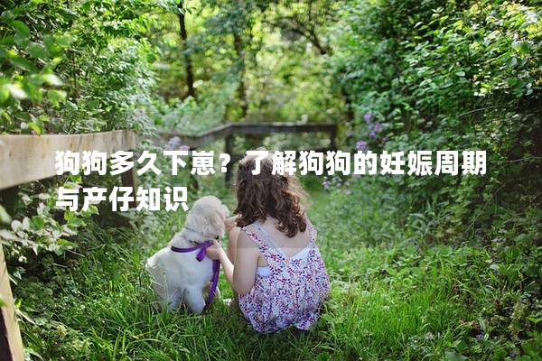 狗狗多久下崽？了解狗狗的妊娠周期与产仔知识