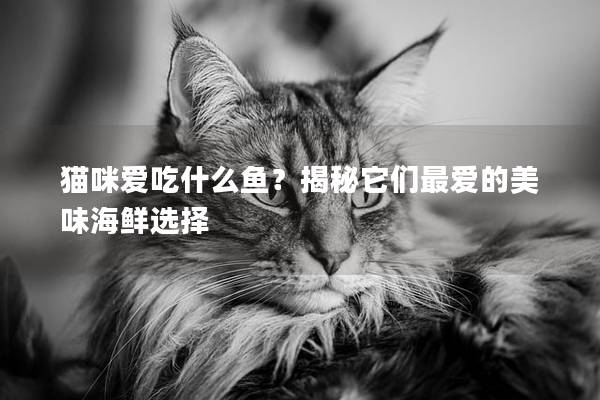 猫咪爱吃什么鱼？揭秘它们最爱的美味海鲜选择