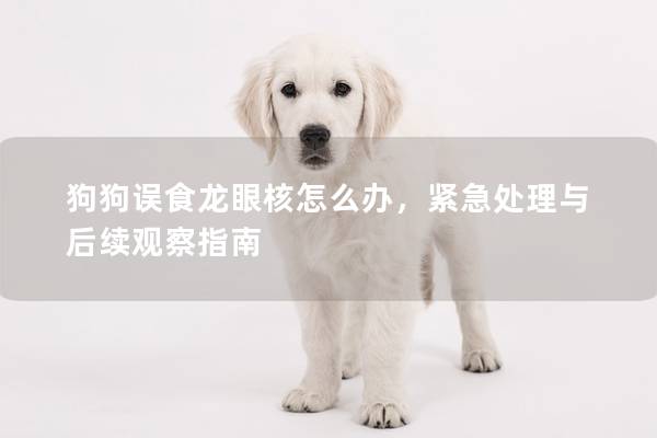 狗狗误食龙眼核怎么办，紧急处理与后续观察指南
