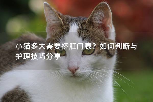 小猫多大需要挤肛门腺？如何判断与护理技巧分享