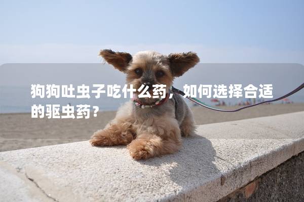 狗狗吐虫子吃什么药，如何选择合适的驱虫药？