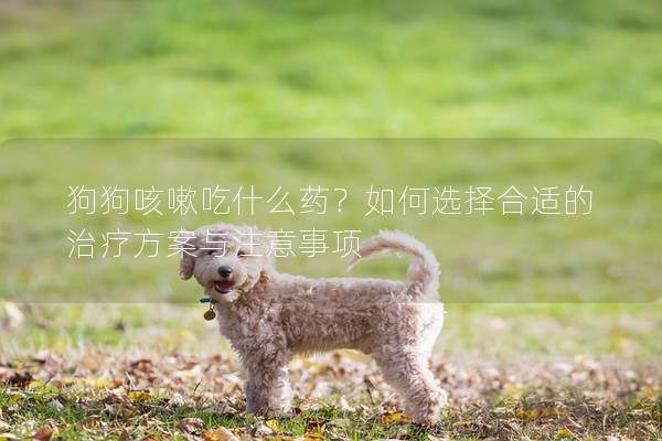 狗狗咳嗽吃什么药？如何选择合适的治疗方案与注意事项