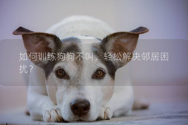 如何训练狗狗不叫，轻松解决邻居困扰？