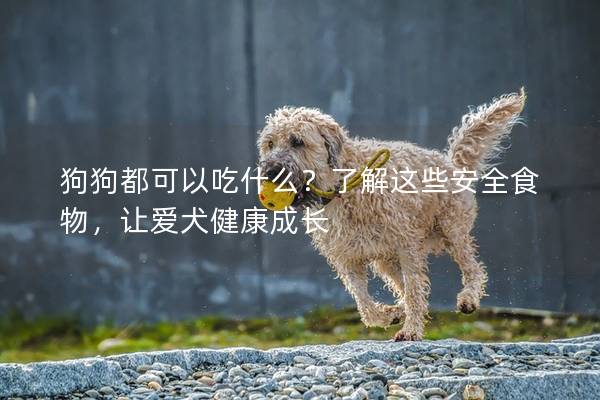 狗狗都可以吃什么？了解这些安全食物，让爱犬健康成长