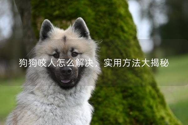 狗狗咬人怎么解决，实用方法大揭秘