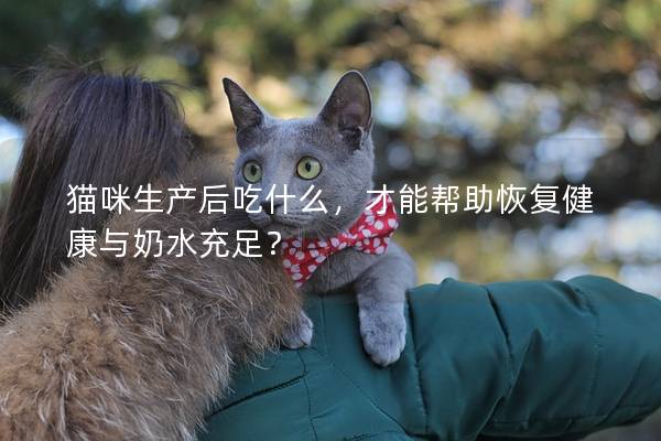 猫咪生产后吃什么，才能帮助恢复健康与奶水充足？