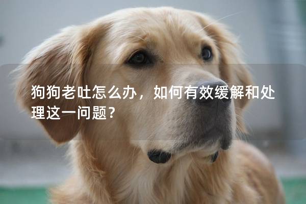 狗狗老吐怎么办，如何有效缓解和处理这一问题？