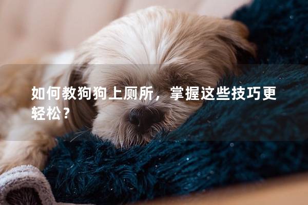 如何教狗狗上厕所，掌握这些技巧更轻松？