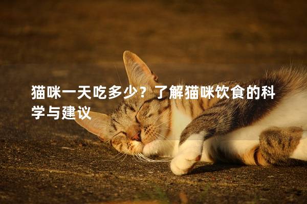 猫咪一天吃多少？了解猫咪饮食的科学与建议