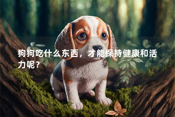 狗狗吃什么东西，才能保持健康和活力呢？