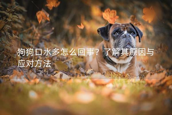 狗狗口水多怎么回事？了解其原因与应对方法