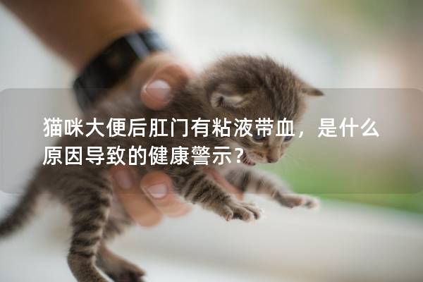 猫咪大便后肛门有粘液带血，是什么原因导致的健康警示？