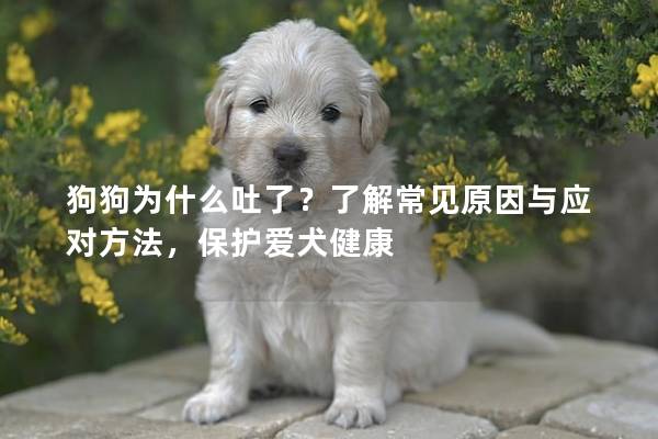 狗狗为什么吐了？了解常见原因与应对方法，保护爱犬健康