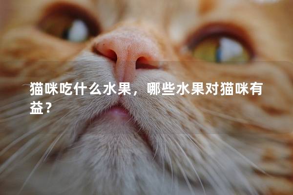 猫咪吃什么水果，哪些水果对猫咪有益？