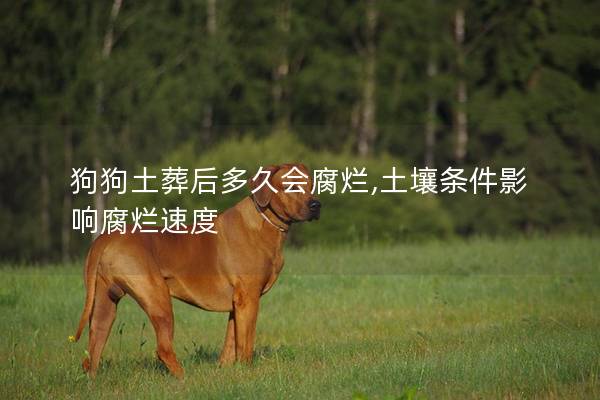 狗狗土葬后多久会腐烂,土壤条件影响腐烂速度