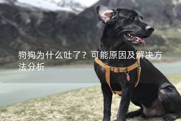 狗狗为什么吐了？可能原因及解决方法分析