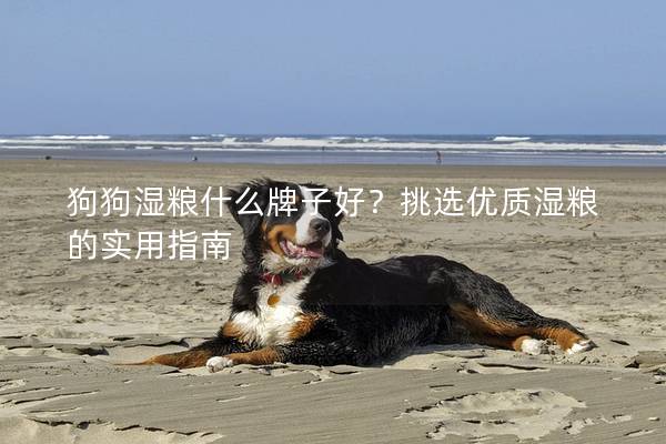 狗狗湿粮什么牌子好？挑选优质湿粮的实用指南