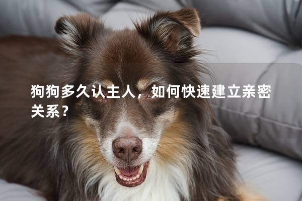 狗狗多久认主人，如何快速建立亲密关系？