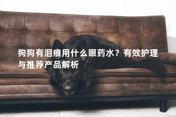 狗狗有泪痕用什么眼药水？有效护理与推荐产品解析