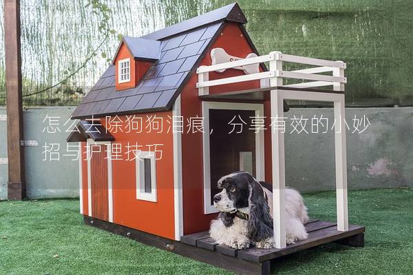 怎么去除狗狗泪痕，分享有效的小妙招与护理技巧
