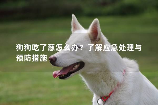 狗狗吃了葱怎么办？了解应急处理与预防措施