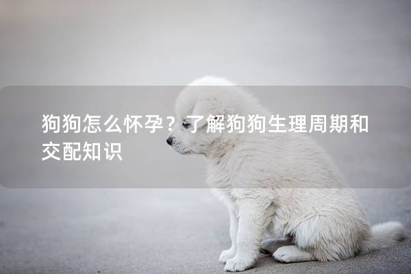 狗狗怎么怀孕？了解狗狗生理周期和交配知识
