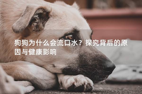狗狗为什么会流口水？探究背后的原因与健康影响
