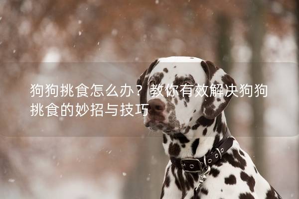 狗狗挑食怎么办？教你有效解决狗狗挑食的妙招与技巧