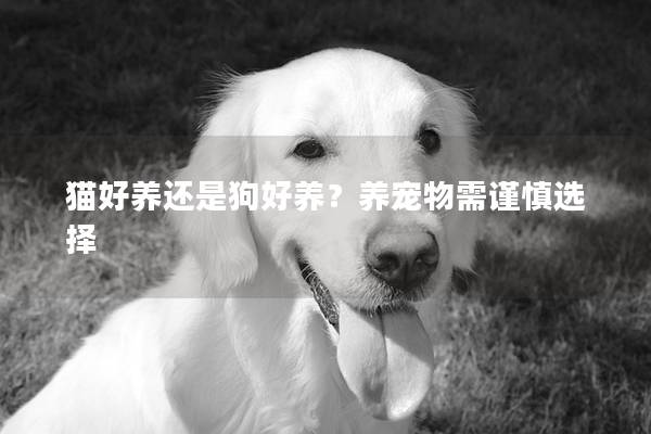 猫好养还是狗好养？养宠物需谨慎选择