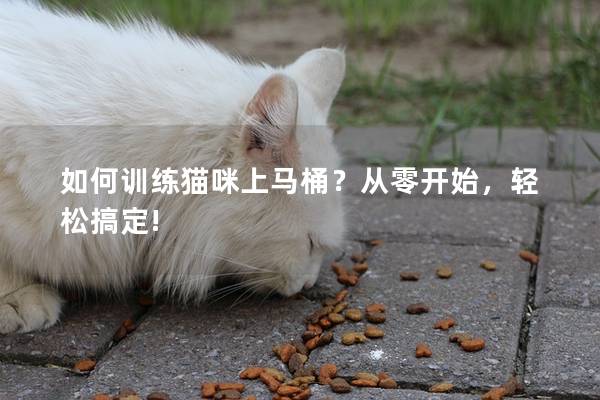 如何训练猫咪上马桶？从零开始，轻松搞定!