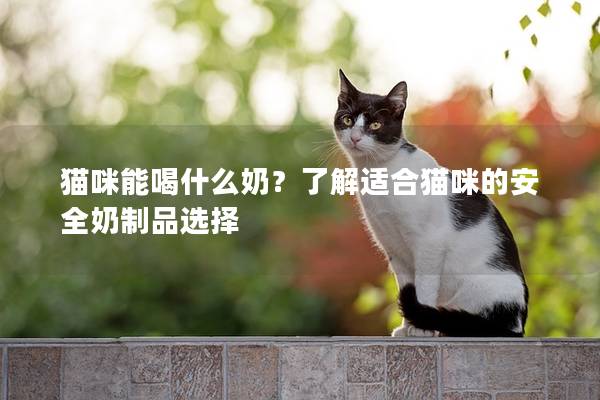 猫咪能喝什么奶？了解适合猫咪的安全奶制品选择