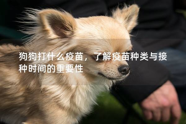 狗狗打什么疫苗，了解疫苗种类与接种时间的重要性