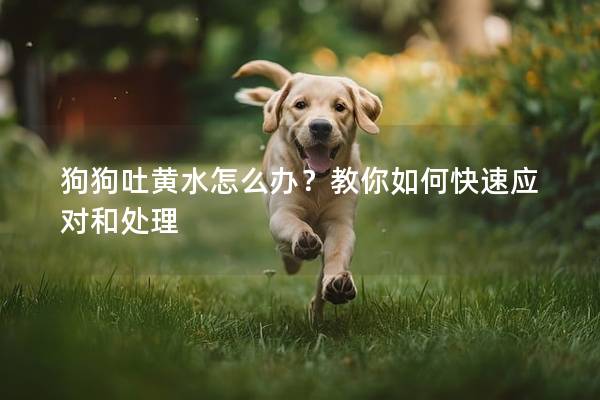 狗狗吐黄水怎么办？教你如何快速应对和处理