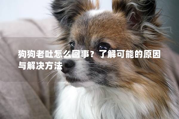 狗狗老吐怎么回事？了解可能的原因与解决方法