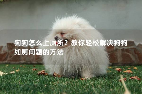 狗狗怎么上厕所？教你轻松解决狗狗如厕问题的方法