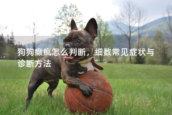 狗狗癫疯怎么判断，细数常见症状与诊断方法