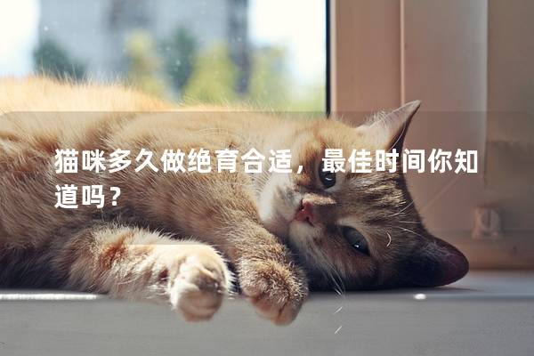 猫咪多久做绝育合适，最佳时间你知道吗？