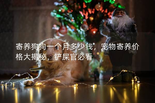 寄养狗狗一个月多少钱，宠物寄养价格大揭秘，铲屎官必看