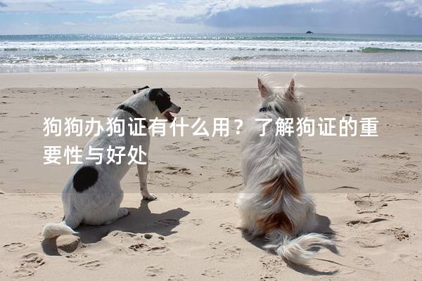 狗狗办狗证有什么用？了解狗证的重要性与好处